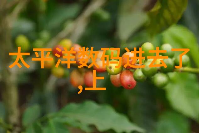 高压加热器我的厨房小伙伴如何让它更省电又安全使用