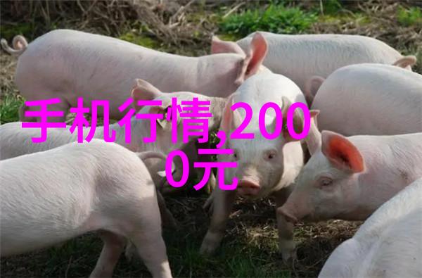 防水屋面守护家园的天花板安全之道