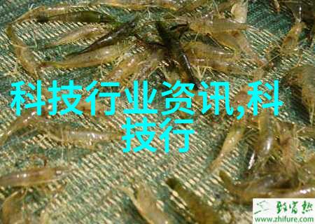 掌中雀BY弃吴钩神秘古风音乐故事