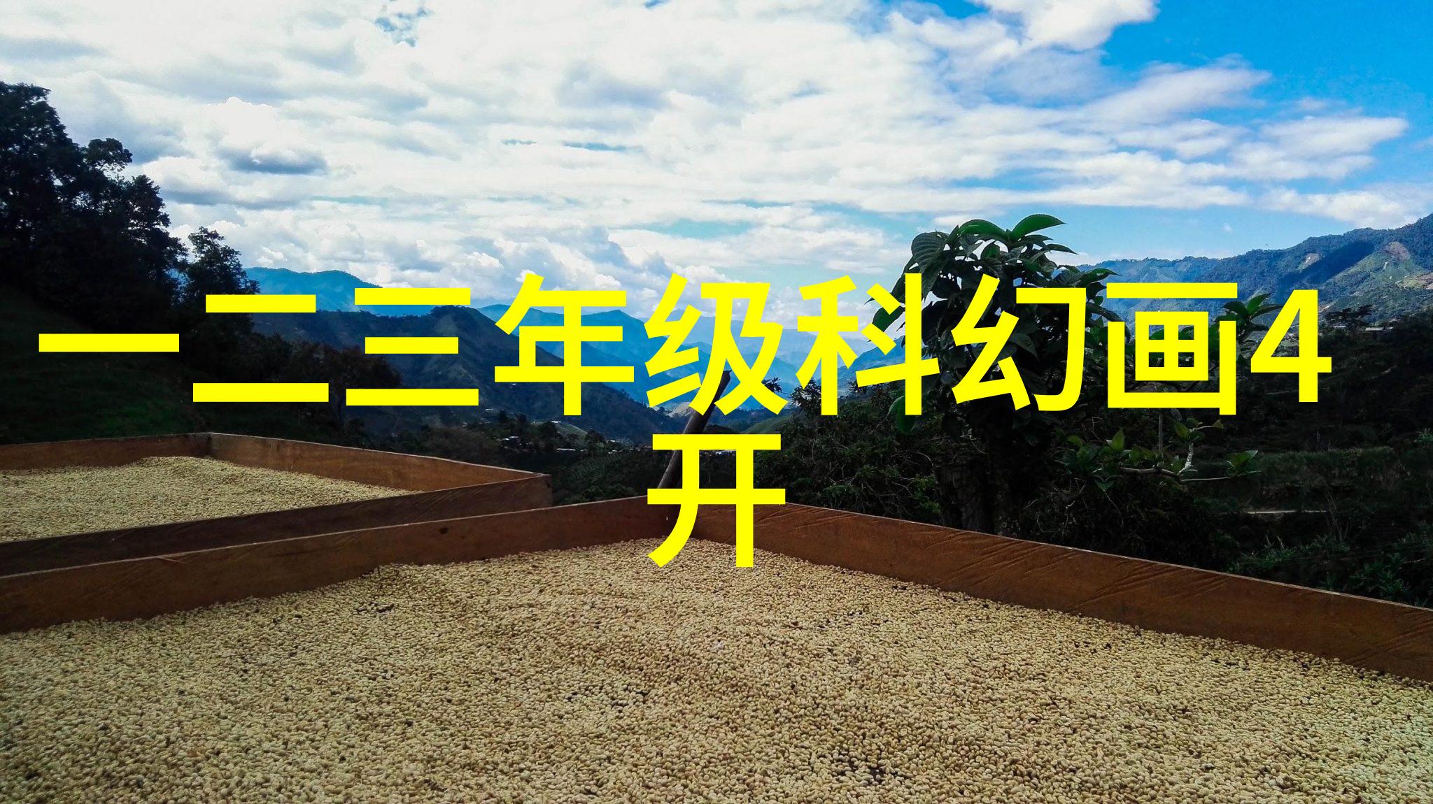 书房装修风格探索从简约到豪华的选择路径