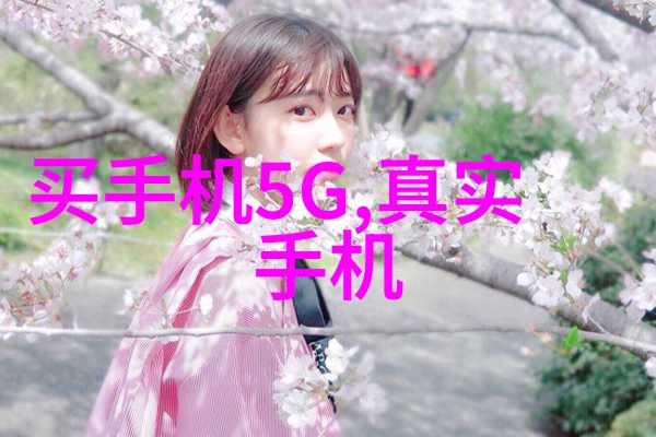 买房贷款-梦之家揭秘买房贷款的全过程与技巧