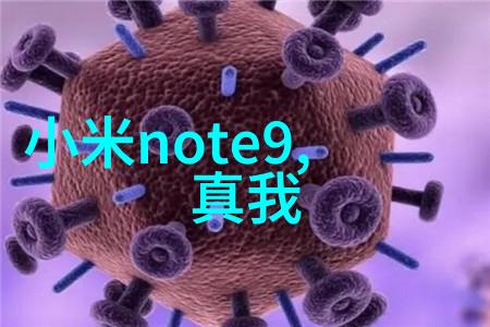 主题-纯化水系统验证方案设计与实施实践