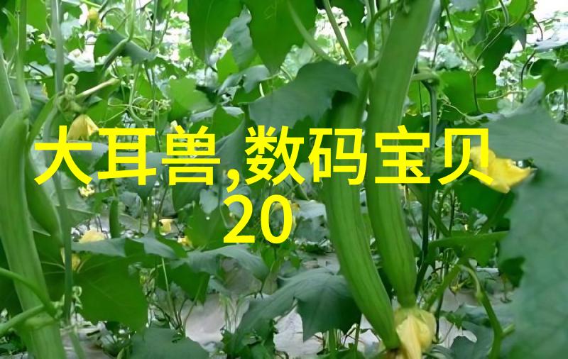 不锈钢蒸发器高效稳定无污染的食品加工伙伴