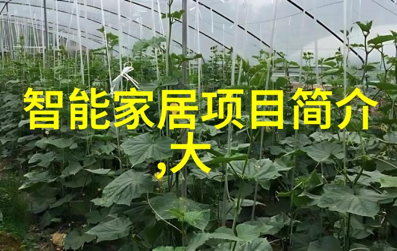 装修房子的风格设计图我家里的新装修风格图你看起来怎么样