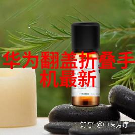 别墅设计装修 - 豪宅梦想创意与奢华的完美结合