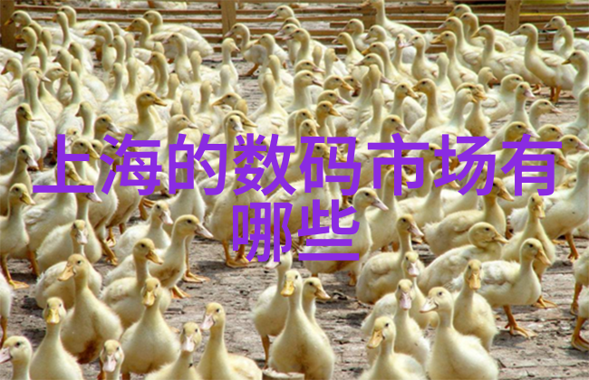 铝塑分离机物联网时代的智能垃圾分类新贵