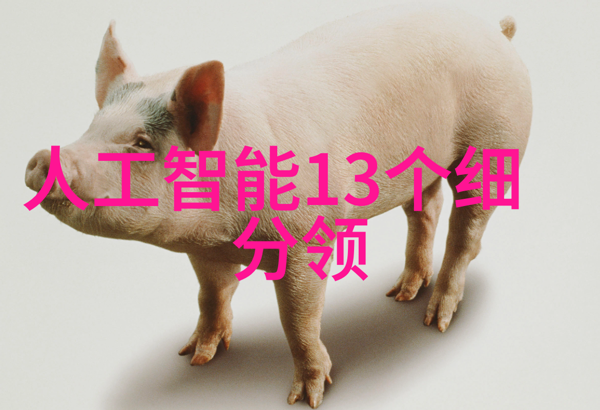 不锈钢规整填料尺寸如何保证生产效率和安全性