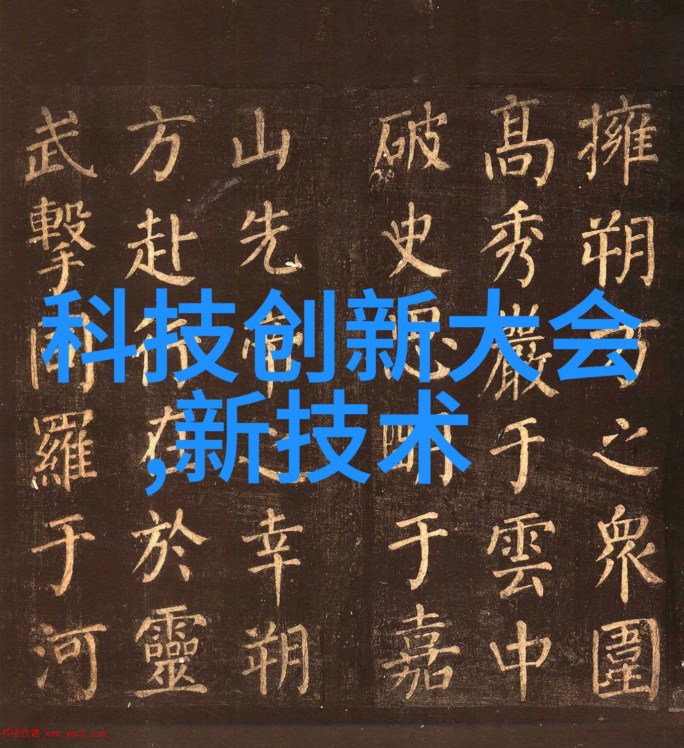 开启海鲜盛宴的秘密如何轻松享受扇贝美食