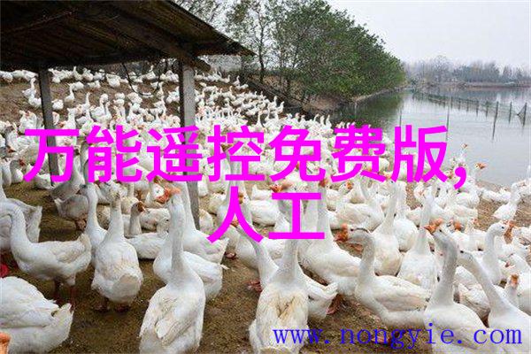油水分离器安装方法图片详解步骤与注意事项