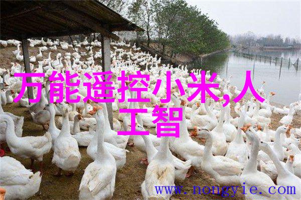 纱网与瓷土的分界探索填料世界的奥秘
