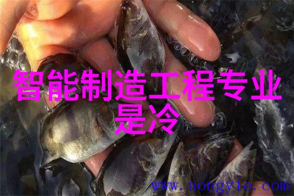 设计理念与色彩搭配打造完美的装修设计图