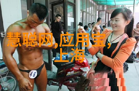 如何理解芯片与集成电路的区别