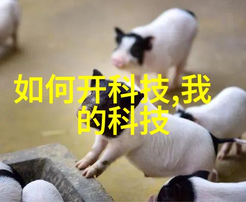 主题我这不就封头了吗