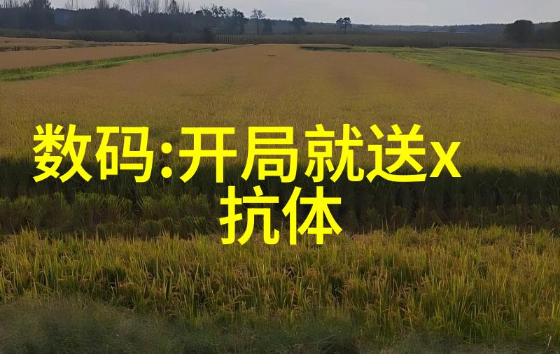高压下的大规模化学反应探索反应釜压力的极限
