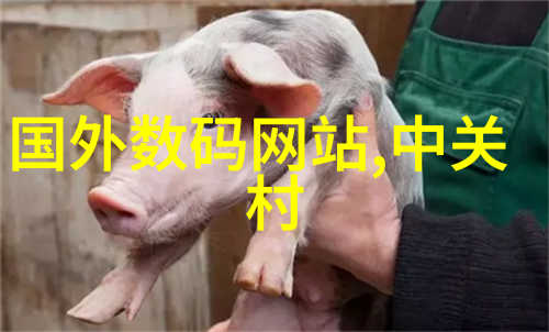 环境健康与安全管理体系理论与实践的综合研究