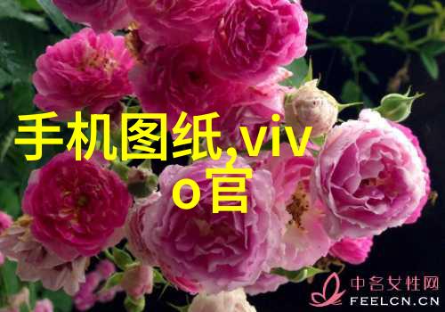蒸汽之力高压灭菌器的精妙运用