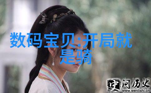 超级耐磨的新材料不锈钢陶瓷填料革新工业应用