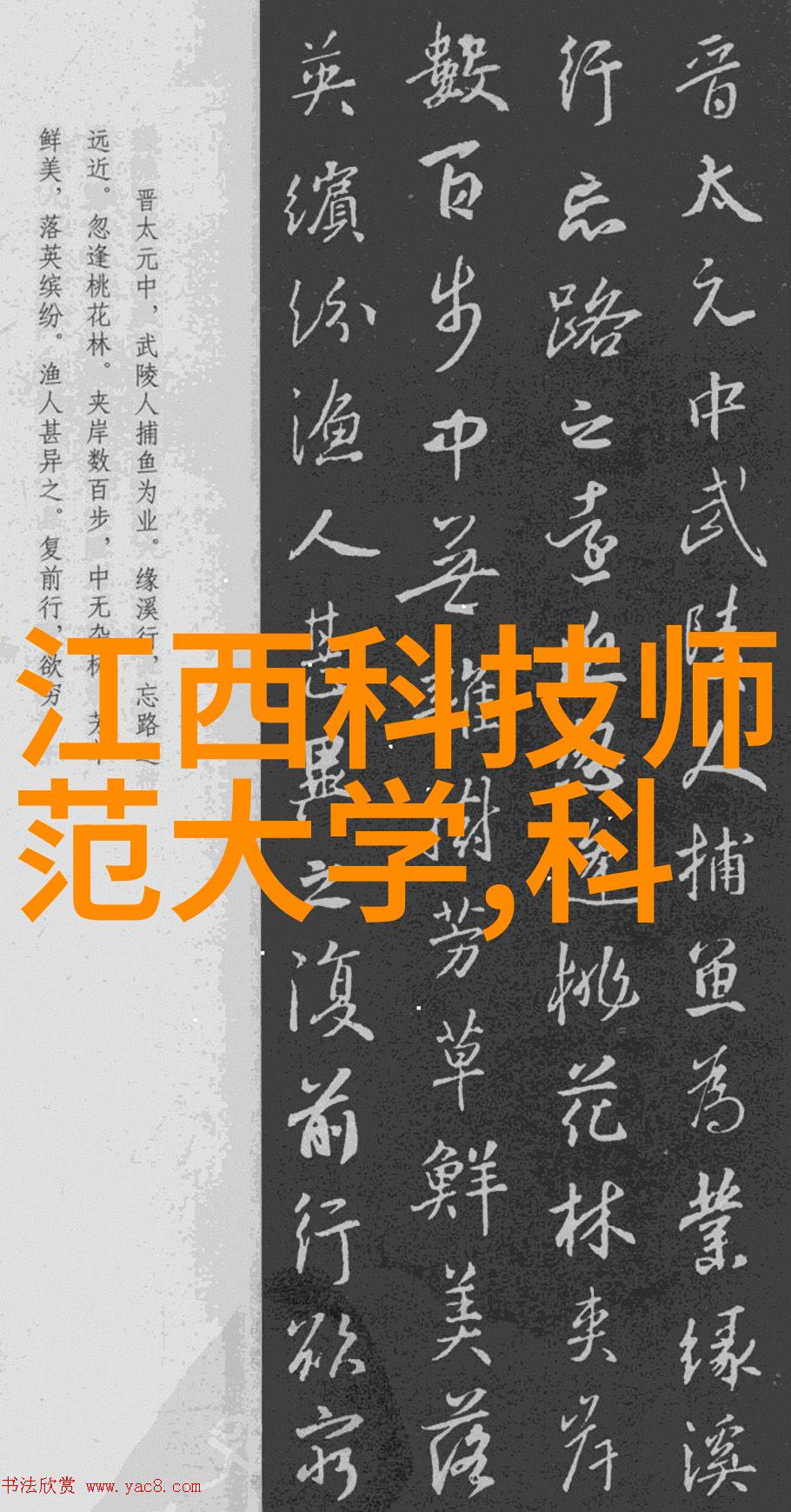 东港股份潮涨的财富之舟