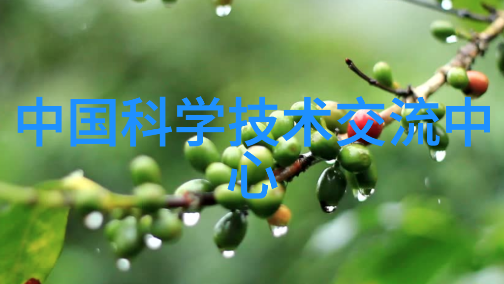 两层别墅装修设计-精致生活从地面到顶部的舒适空间布局