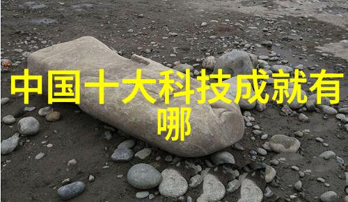 规整填料250y与350y区别探究两种材料的应用差异与优选策略