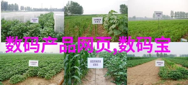 一抽一出BGM流水声音软件下载-轻触旋律探索一抽一出BGM流水声音软件的艺术魅力