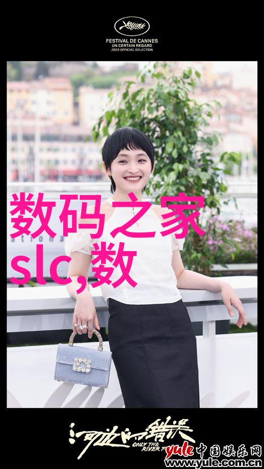 水体生态健康的守护者揭秘水质检测的精髓指标
