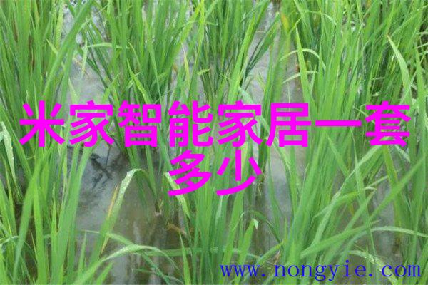 儿童卧室装修效果图-梦幻童年角落创意儿童卧室装修效果图赏析