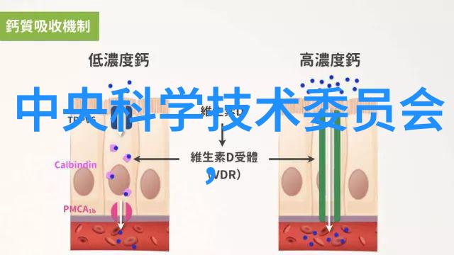 水质检测仪指标数值解析揭秘水源安全的关键