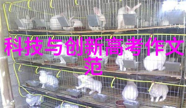化工净制技术纯净原料的精妙艺术