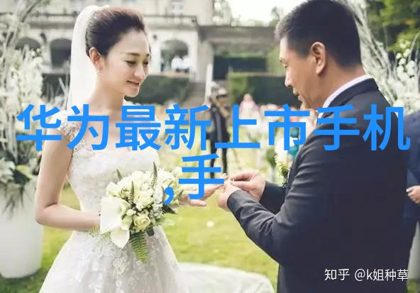 精选国产品牌一二三产区蘑菇视频深度解析