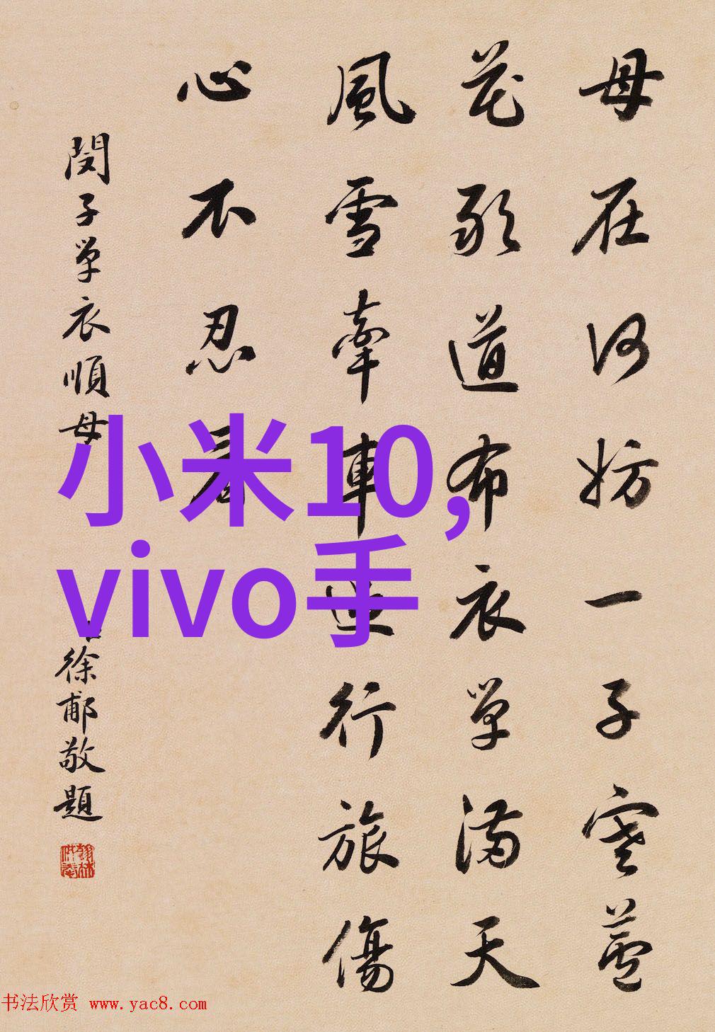 精准切制打造高品质食品的关键技术