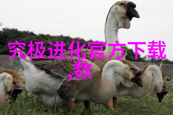 逆袭还是逆境学水利水电后的困惑与自我质疑
