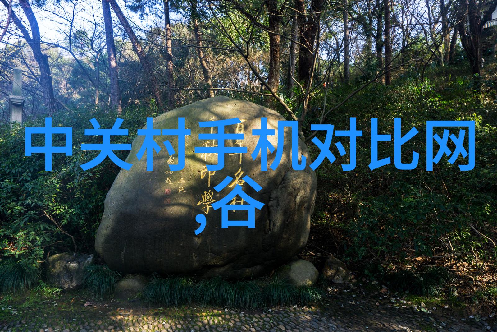 轻薄帝师穿越之无形枭雄