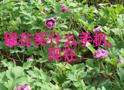 制冷设备有限公司专业制冷解决方案供应商