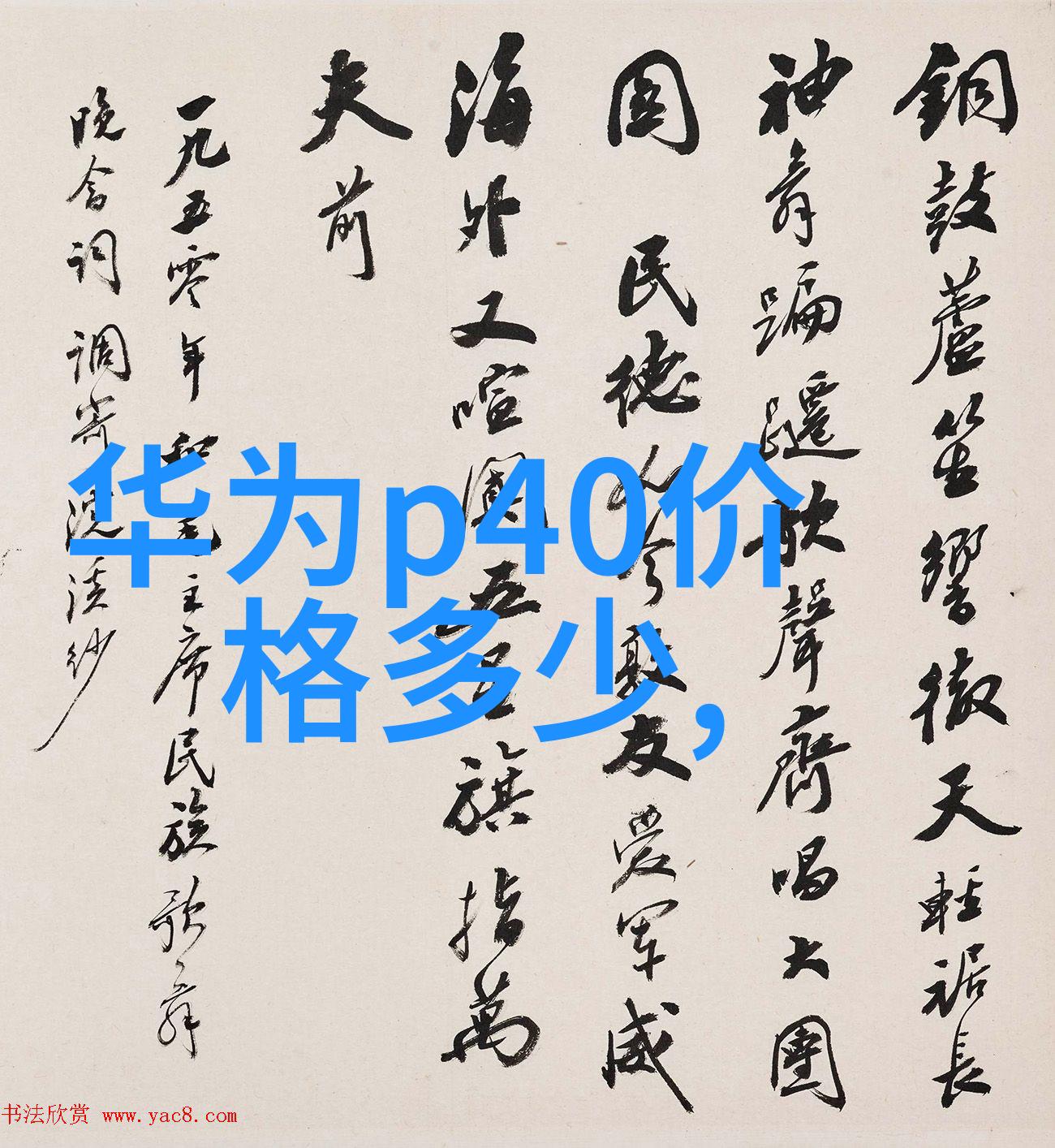 森林樱花之旅尝遍动漫中的芬芳