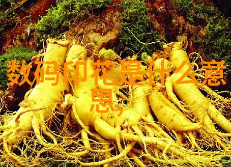 化学工艺成本的精确计算