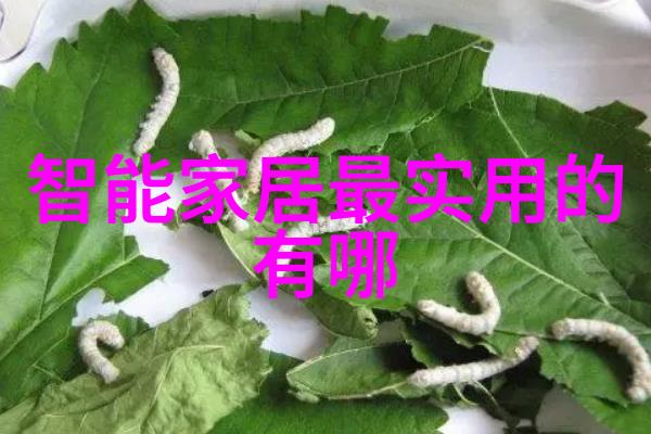 河源职业技术学院栋梁之才的培育地