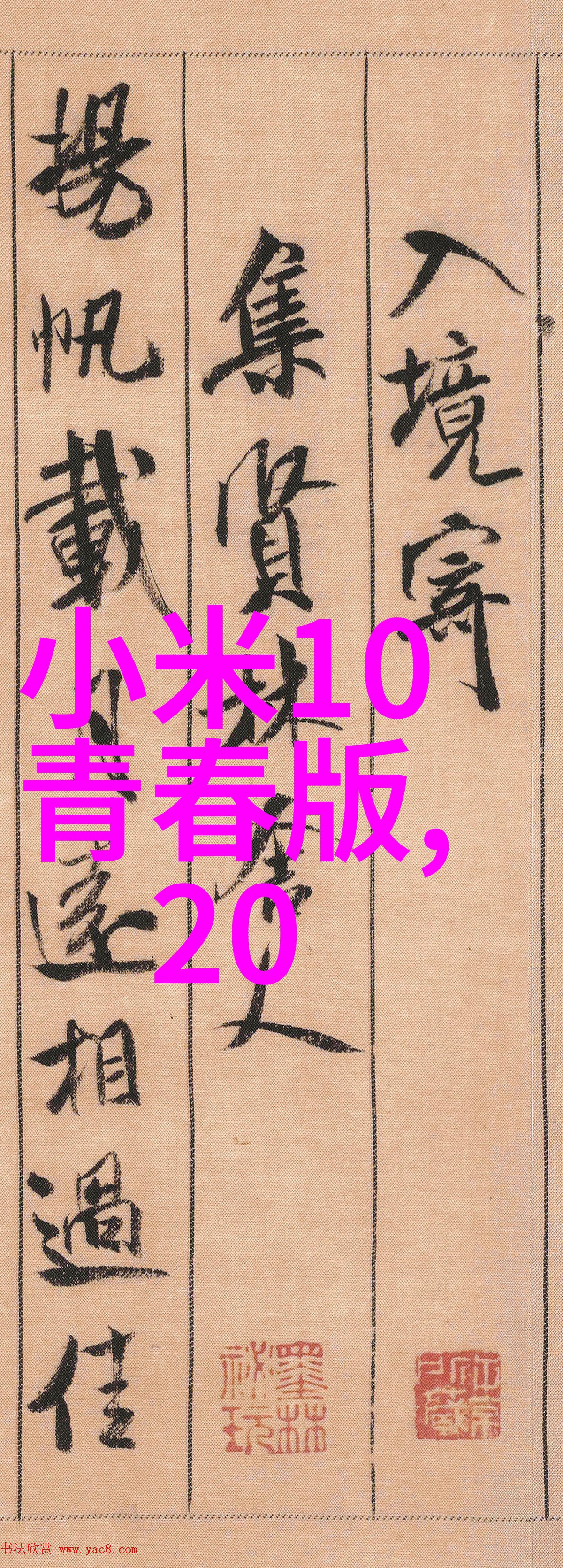 安全搭建脚手架的规范要求与技巧探究