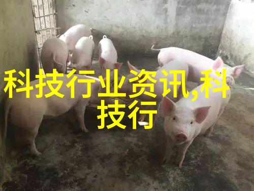 主题我是如何解决工厂脉冲袋式除尘器问题的