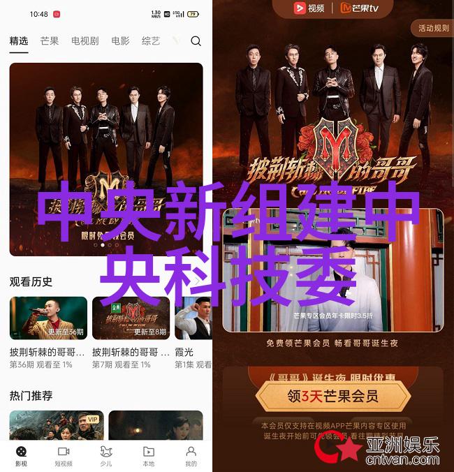 自我诊断工具 vs 专家服务哪种更经济实惠