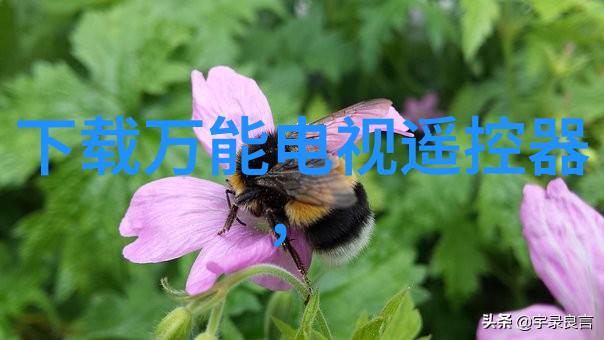 国家职业人才测评中心我的职业道路指南者
