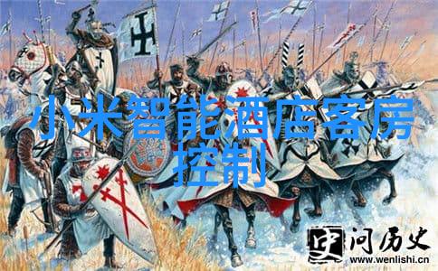 水电之星公司绿色能源的守护者