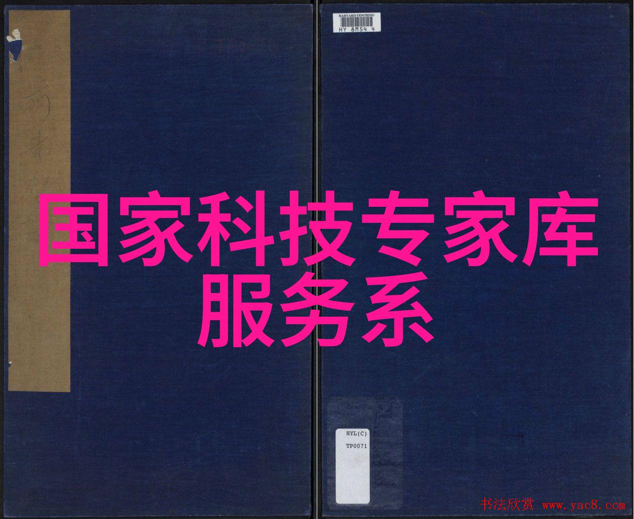蜜芽TV2023开启新篇章的跳转接口奇遇