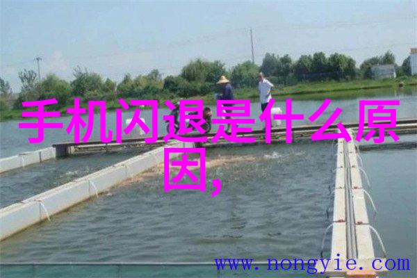 现代简约大气风格装修图片我家变身的美式小木屋一张图说千言