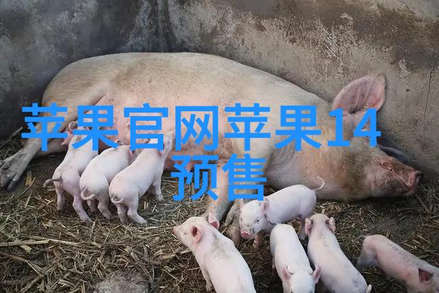 材料科学与工程实践探索不同材质对reactor性能影响