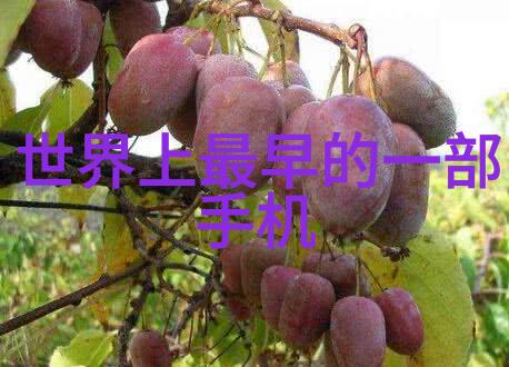 债券通开通六周年内蒙古财经大学官网发布社会影响报告书香港与内地财经界人士探讨互联互通新篇章