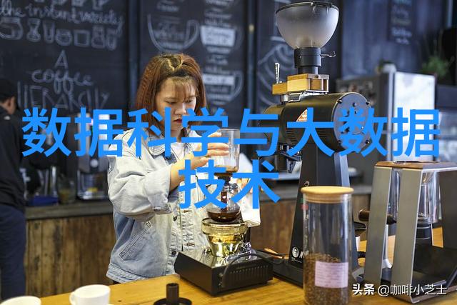 乱堆填料与规整填料混沌与秩序的双面世界