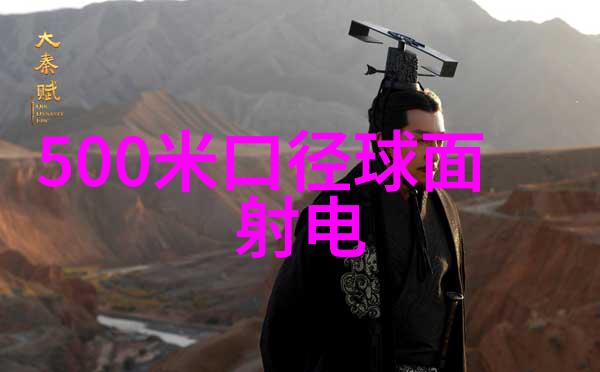 手机管理系统智能手机优化技巧