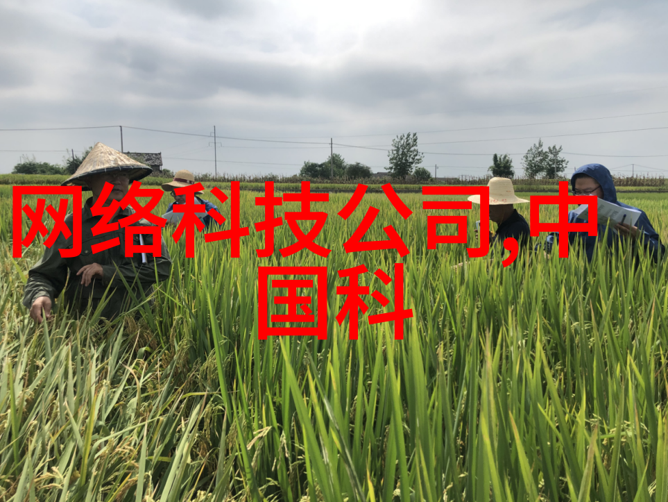 揭秘水质检测如何通过pH值硬度和悬浮物等参数判断水源的清洁程度