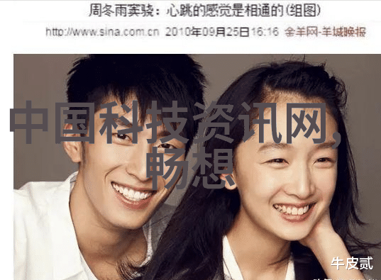 水源守护者揭秘TDS检测笔的神奇用途